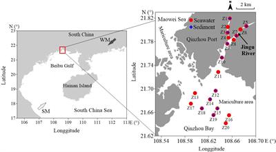 Contaminant Characteristics and Influencing Factors of Heavy Metals in Seawater and Sediments in a Typical Mariculture Bay in South China